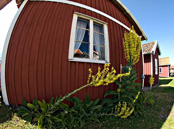 在瑞典Bohusln的Havstenssund的夏季田园诗 — 图库照片