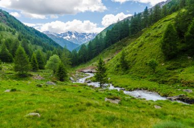 Yaz aylarında İtalya'da Alpler görünümü