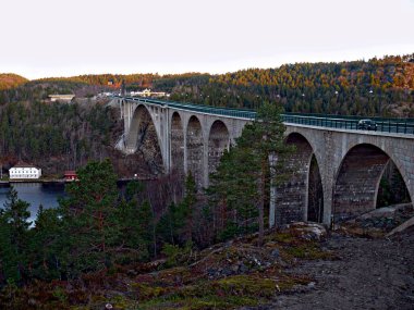 bridge over the river in the autumn forest clipart