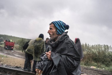 Avrupa 'daki Suriye mülteci krizi