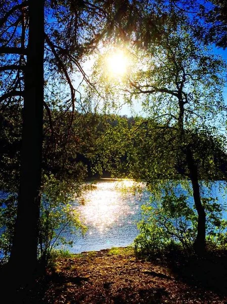 Beautiful Sunset Forest Lake — Foto de Stock