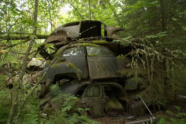 Старые Ржавые Машины Автомобильном Кладбище — стоковое фото
