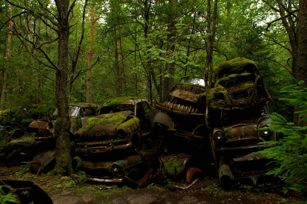 Araba Mezarlığındaki Eski Paslı Arabalar — Stok fotoğraf