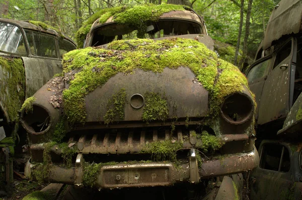 Старые Ржавые Машины Автомобильном Кладбище — стоковое фото