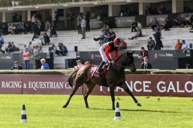 FRANCE, Paris: 93. Prix de l 'Arc de Triomphe 3 Ekim 2015 tarihinde Paris' te Longchamp yarış pistinde gerçekleştirildi..