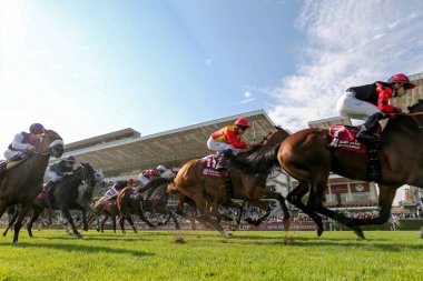 FRANCE, Paris: 93. Prix de l 'Arc de Triomphe 3 Ekim 2015 tarihinde Paris' te Longchamp yarış pistinde gerçekleştirildi..