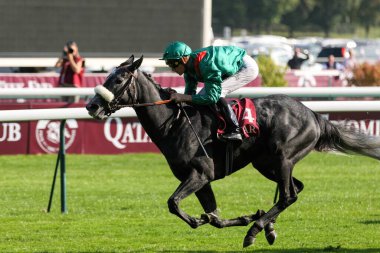 FRANCE, Paris: 93. Prix de l 'Arc de Triomphe 3 Ekim 2015 tarihinde Paris' te Longchamp yarış pistinde gerçekleştirildi..