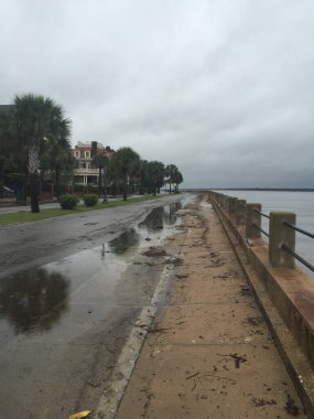 AMERİKA 'nın birleşik devletleri. GÜNEY CAROLINA 'DA ÇİÇEK 
