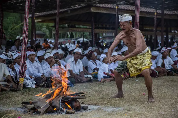 Balinese Villagers Celebrate Annual Ngusaba Puseh Festival Bali Indonesia — 图库照片