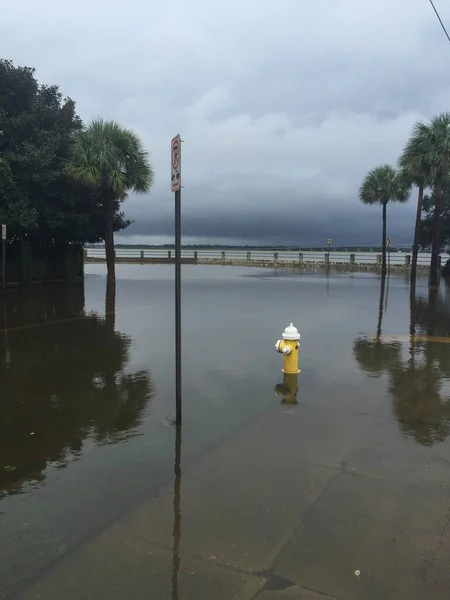 United States America Flooding South Carolina — Stock Photo, Image