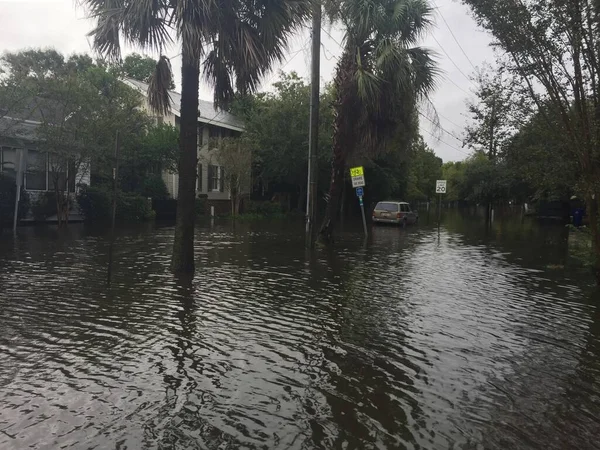 Zjednoczone Statki Ameryki Kwitnienie South Carolina — Zdjęcie stockowe