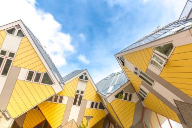 Rotterdam Hollanda Küpü 'nde