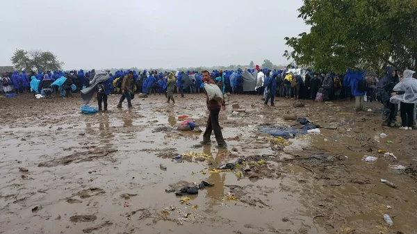 Serbia Refugee Crisis Croatia Opens Borders — Stock Photo, Image