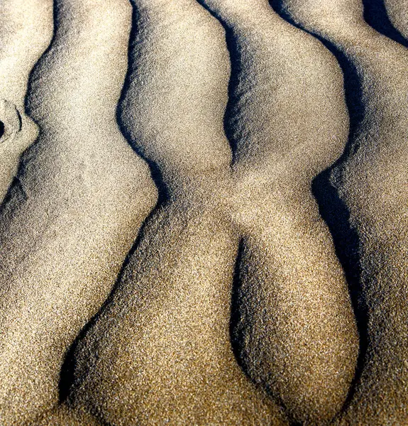 Dry Sand Beach — Stock Photo, Image