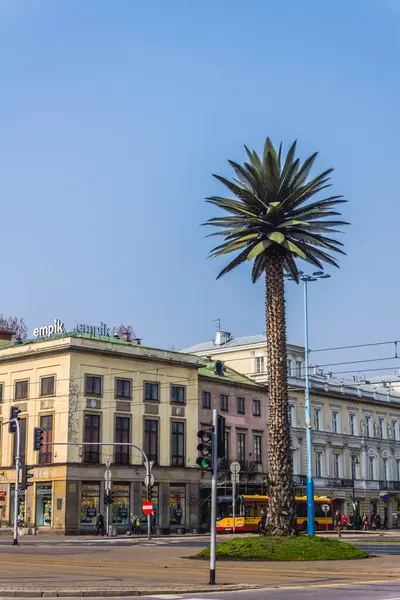 Artificial Palm City Warsaw — Stock Photo, Image
