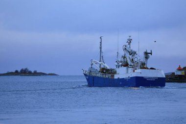 Denizde büyük bir geminin manzarası.