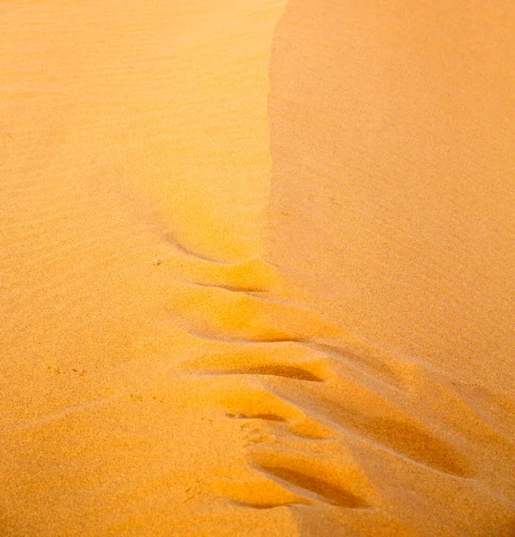 砂漠の砂丘 カラフルな活気に満ちた旅行のテーマ — ストック写真