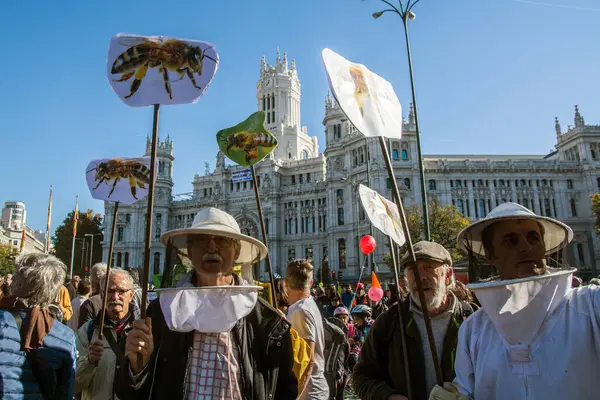マドリード スパイン 環境活動家がスペインの首都に集まり 2015年11月29日に気候変動のための世界的なマッチに参加 — ストック写真