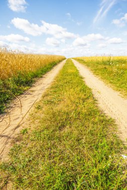 tarımsal alan ve yol 
