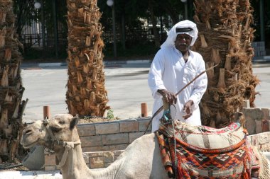 Bedevi adam, Jericho, İsrail 'de, dromedary yakınlarında turist bekliyor.
