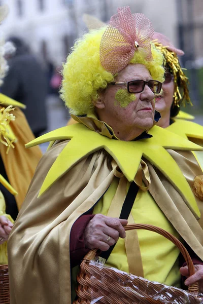 Zagreb 'deki karnaval geçidi