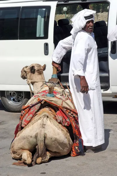 Bedevi Adam Jericho Srail Dromedary Yakınlarında Turist Bekliyor — Stok fotoğraf