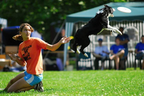 Hund Frisbee Mästerskap Händelse — Stockfoto