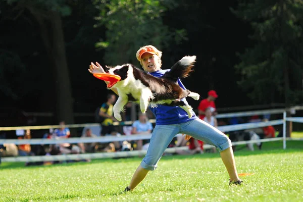 Perro Frisbee Campeonato Evento — Foto de Stock