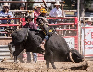 Ty Pozzobon Invitational Pbr