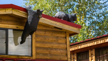 black bear toys is climbing on the wooden house
