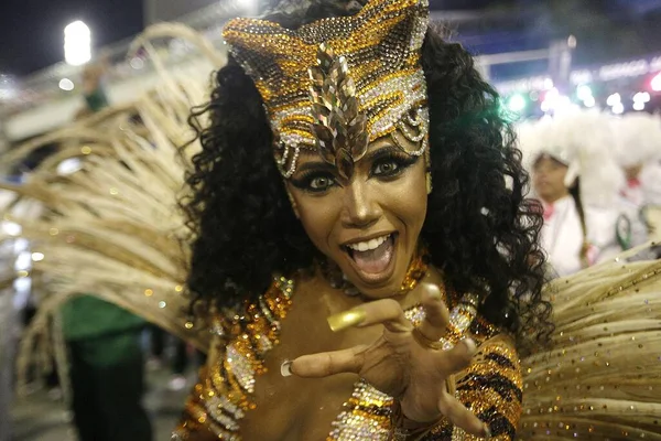 Brazil Rio Janeiro Festive Carnaval — Stock Photo, Image
