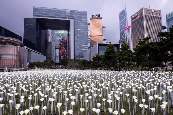 HONG KONG. Işık Gülü Bahçesi