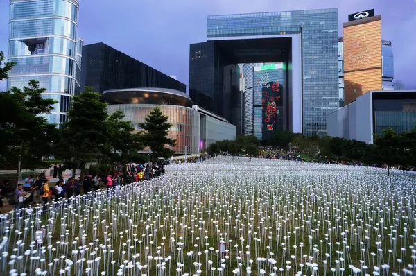 Hong Kong Light Rose Garden — Stock Photo, Image