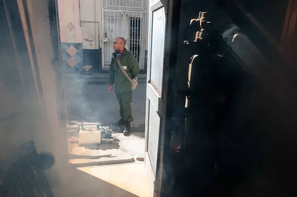Cuba Hawana Rezerwiści Kubańskich Rewolucyjnych Sił Zbrojnych Dezynfekują Komary Aedes — Zdjęcie stockowe