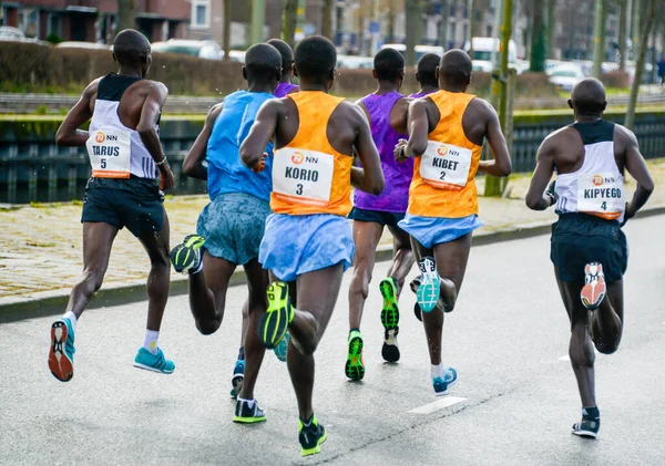 Netherlands Hague Nsanlarla Sayin Maraton — Stok fotoğraf