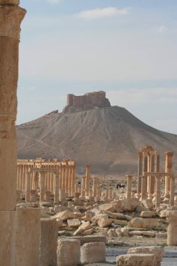 SYRIA, Palmyra - 13 Nisan 2010: Suriye 'nin orta kesimindeki bir vahada bulunan antik Palmyra kentinin kalıntıları