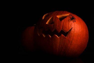 Karanlık arka planda Cadılar Bayramı balkabağı