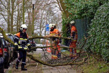 BELGIUM, Uccle: Firefighters are pictured on Moscicki Avenue in Uccle, near Brussels, on March 28, 2016 as a tree fell on a care. The Royal Meteorological Institute has issued an alert for strong wind all over the country.