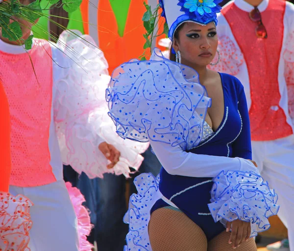 Dzień Ujęcia Niesamowitej Parady Karnawałowej — Zdjęcie stockowe