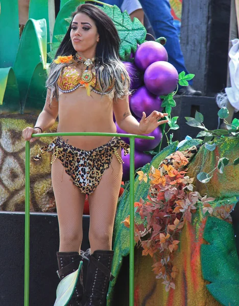 Giorno Colpo Giorno Incredibile Parata Carnavale — Foto Stock
