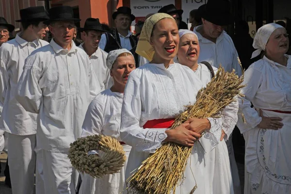 Dakovo Daki Festival Sırasında Hırvat Ulusal Kostümlü Insanlar — Stok fotoğraf