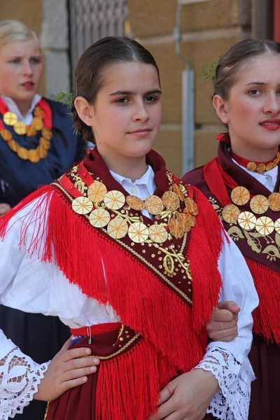 通りにはクロアチア民族衣装を着た人々が — ストック写真