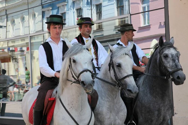 Paarden Huwelijkswagenshow Tijdens Dakovo Summer Festival — Stockfoto