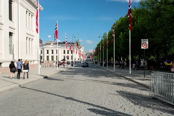 Bandiere Giorno Della Costituzione Norvegese — Foto Stock