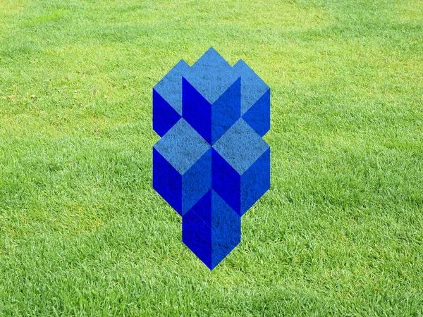 Tesseract Aka Hypercube Green Grass Background — Stock Photo, Image