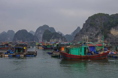Ha-Long Körfezi, Vietnam, 3 Ocak 2015: 