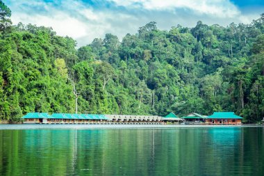 Khao Sok Ulusal Parkı, Tayland 'ın güneyinde yoğun ve el değmemiş ormanları olan bir doğa koruma alanıdır.