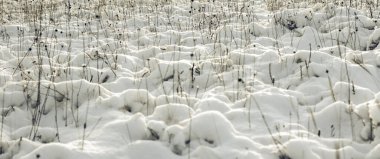 Beyaz kış harikalar diyarı. Güzel doğal arkaplan