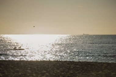 playa y mar al atardecer 