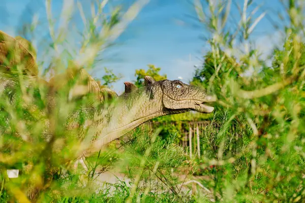 Stegosaurus Novi Sad Dino Parkı 'nda